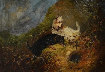 J. Langlois (British 1855-1904), pair of oils on canvas, Terriers ratting, signed, 24 x 34cm, ornately framed. Condition - fair